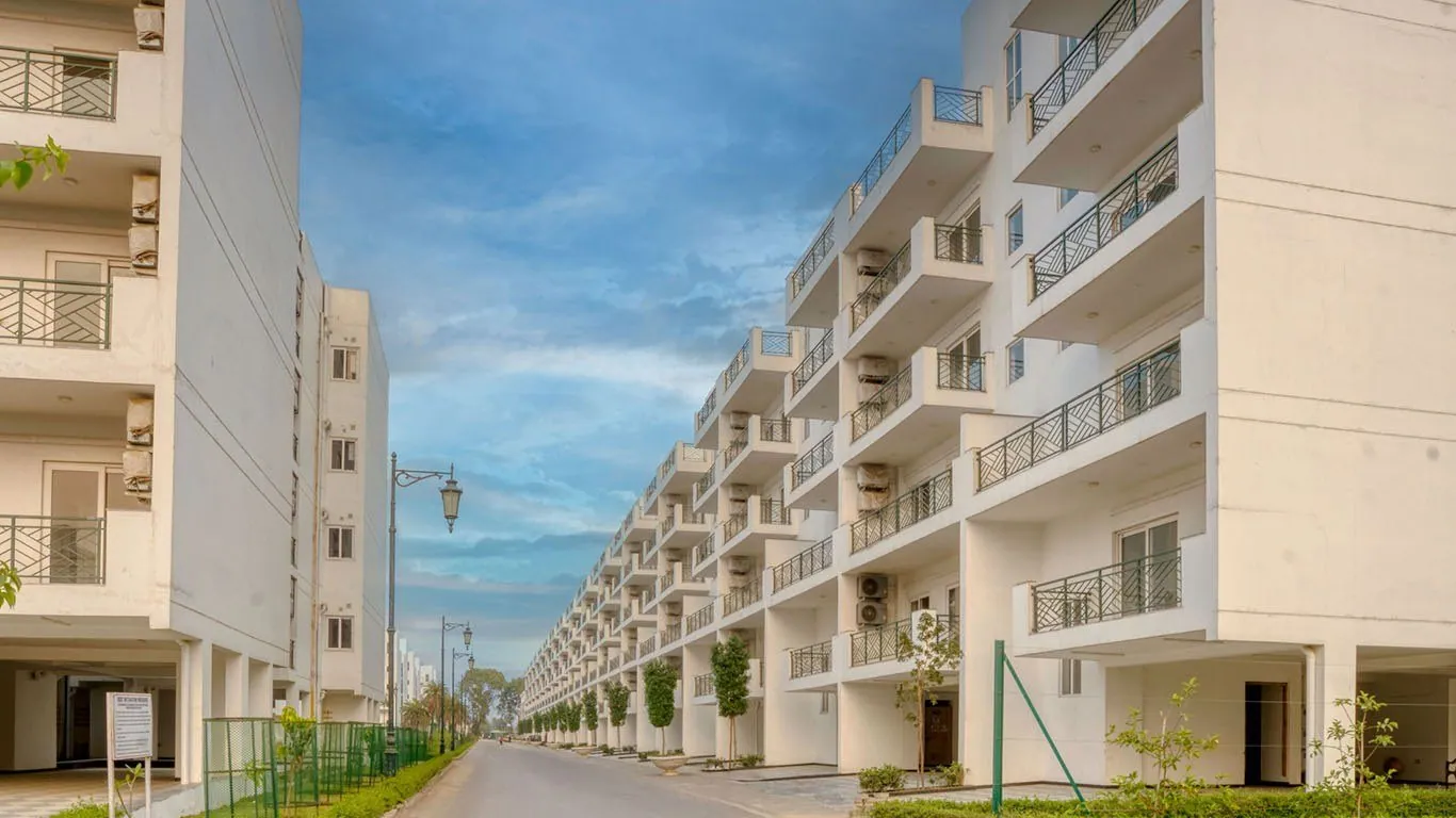 Central Park Cerise Floors - Central Park Flower Valley, Gurgaon